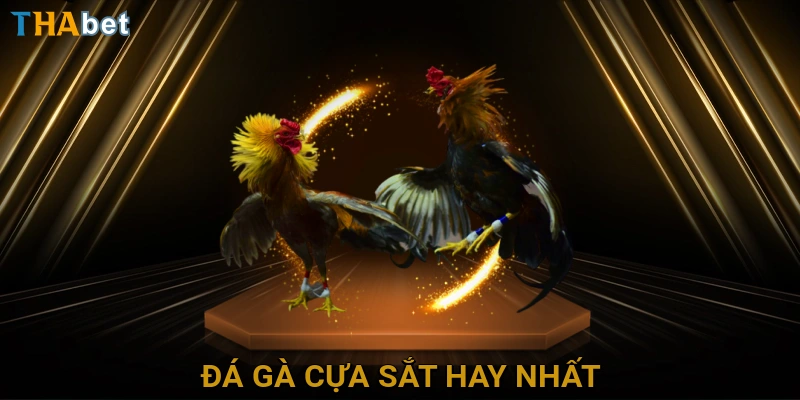 da-ga-cua-sat-hay-nhat
