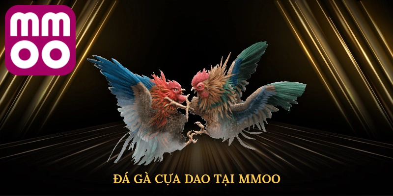 Đá gà cựa dao tại MMOO mở ra đấu trường cá cược đỉnh cao