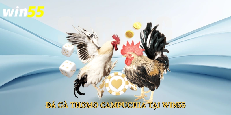 da-ga-thomo-campuchia-tai-win55-2