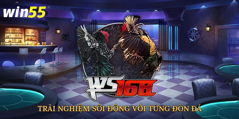 trai-nghiem-soi-dong-voi-tung-don-da-3